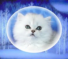 sticker_23285426_37342498