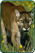 sticker_6195420_40766380