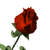 sticker_13214246_37009228