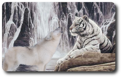 sticker_3682101_37952539