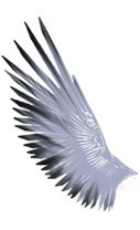 sticker_16474837_21920062