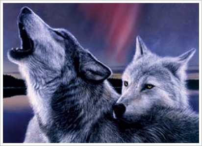 sticker_12891613_30309886