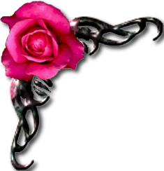 sticker_6483814_10011030