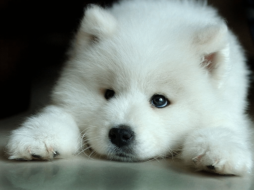 sticker_27522051_37630829