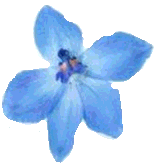 sticker_7888019_9787602