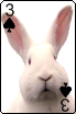 sticker_11914440_39993538
