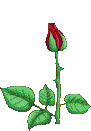 sticker_23012953_39301921