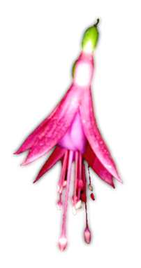 sticker_15684241_20180783