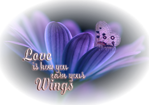 sticker_6686445_33541644