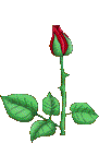 sticker_22795194_38030783