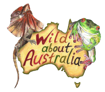sticker_19603702_34697005