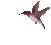 sticker_3282443_5873423
