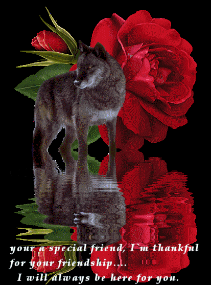 sticker_17952698_29044112