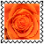 sticker_16908359_36236367