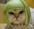 sticker_2346752_14555623