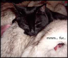 sticker_932629_1032627