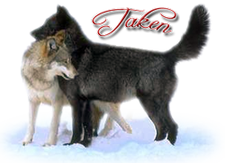 sticker_15445962_21652805