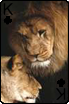 sticker_6195420_40766264