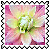 sticker_1432807_23373671