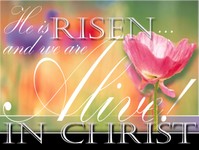 sticker_12919727_23841588