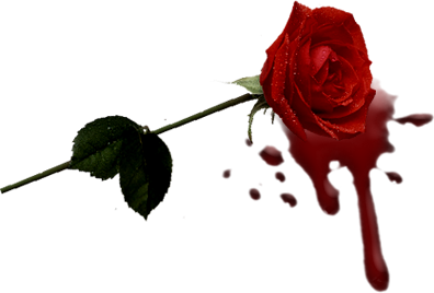 sticker_16218100_25117389