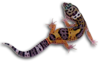 sticker_16799490_38761964