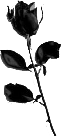 sticker_5894646_20469670