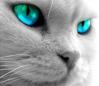 sticker_5376571_10699572