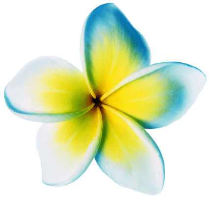 sticker_26042526_40128417