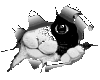 sticker_10832373_15374652