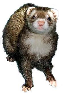 sticker_12610675_20754145