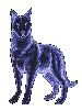 sticker_14908768_20927636