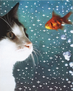 sticker_10742417_19876492