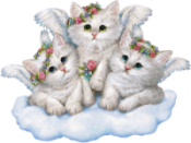 sticker_8169180_39415970