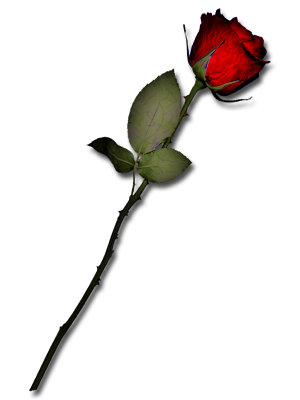 sticker_25466418_35038900