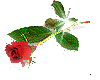 sticker_5374133_21135230