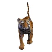 sticker_724906_724712