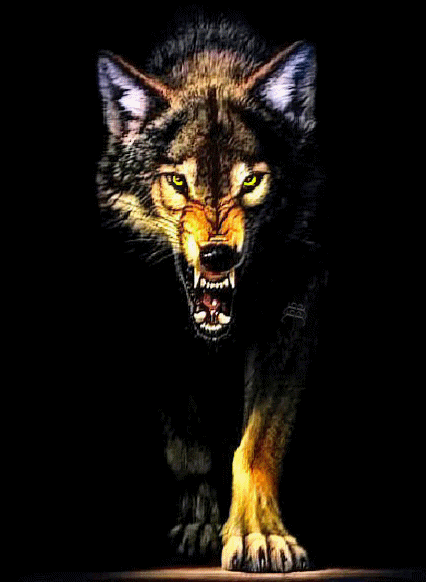 sticker_18918348_26279578