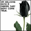 sticker_1052616_1253221