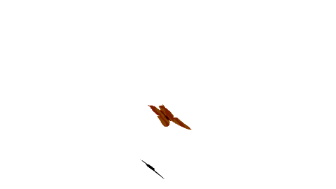 sticker_18086948_37451300