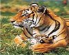 sticker_22948729_35985996