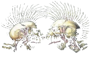 sticker_6573568_33043256