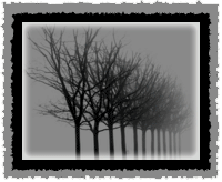 sticker_22448250_39776497
