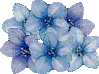 sticker_2125402_2785796