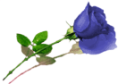 sticker_16350764_22268755