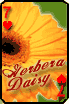 sticker_20176357_31809077