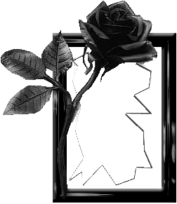 sticker_20490483_39370321