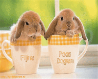 sticker_19738832_32822620