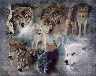 sticker_20021762_39256334