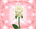 sticker_25097159_34922278
